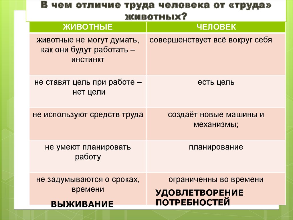 Отличие деятельности человека от поведения