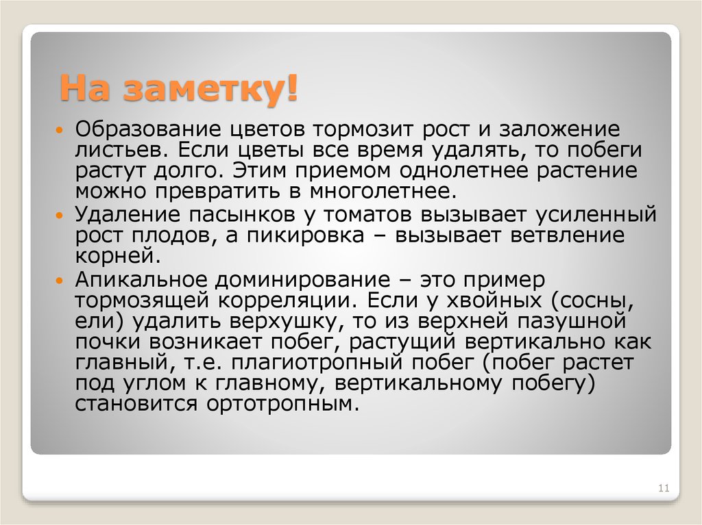 На заметку!