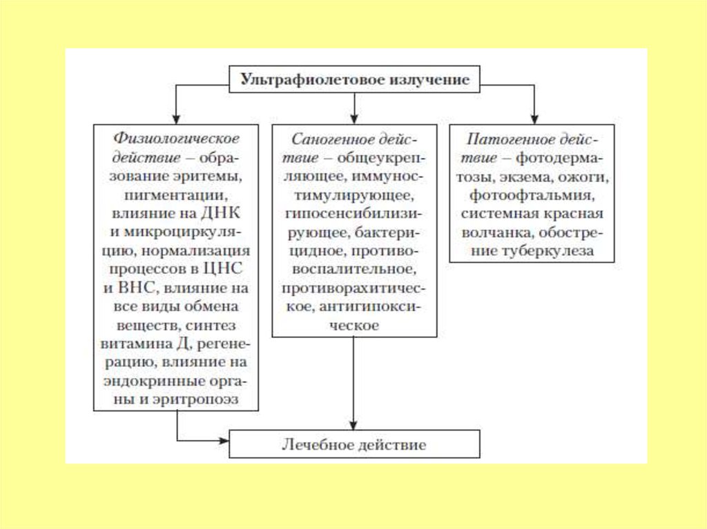 Влияние солнечной радиации на организмы. Физиологическое действие ультрафиолетового излучения. Организация саногенной среды. Ультрафиолетовые лучи физиологическое действие. Саногенное и патогенное влияние души на тело.