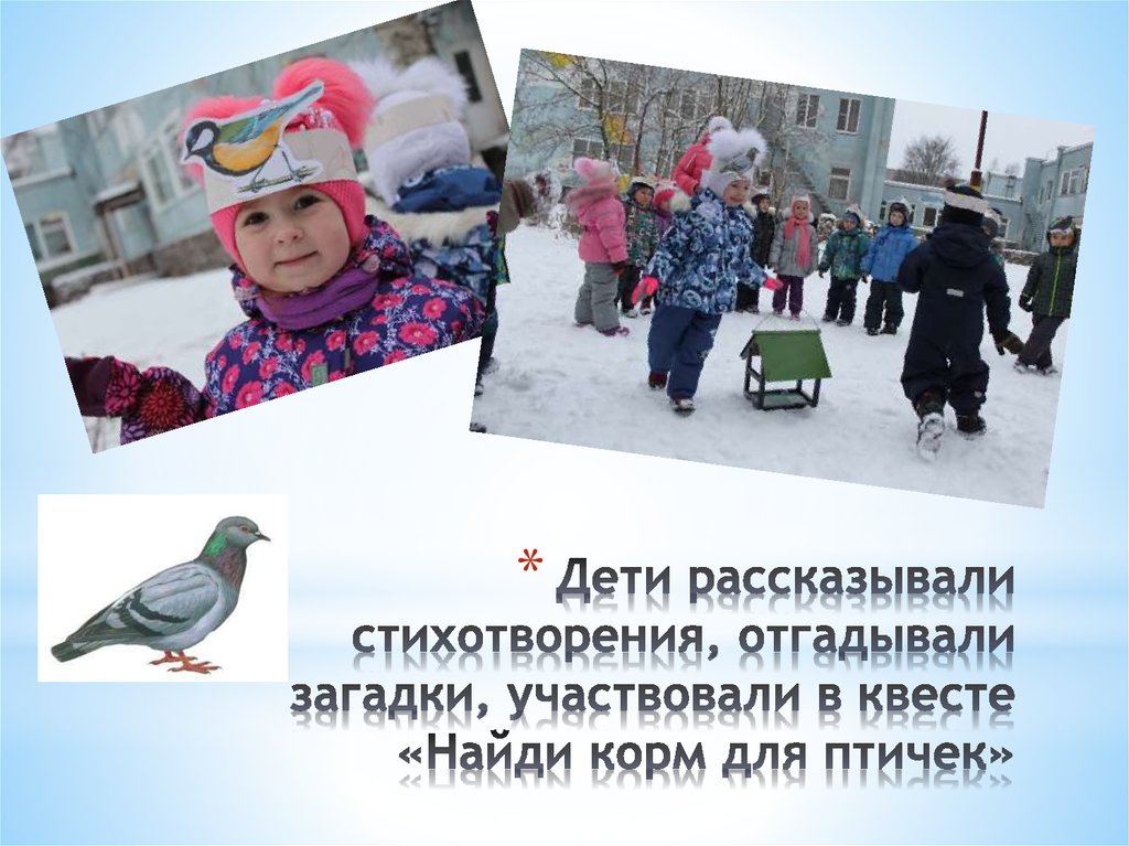 Дети рассказывали стихотворения, отгадывали загадки, участвовали в квесте «Найди корм для птичек»