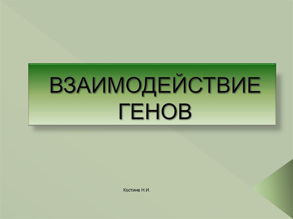 Взаимодействие генов презентация на английском