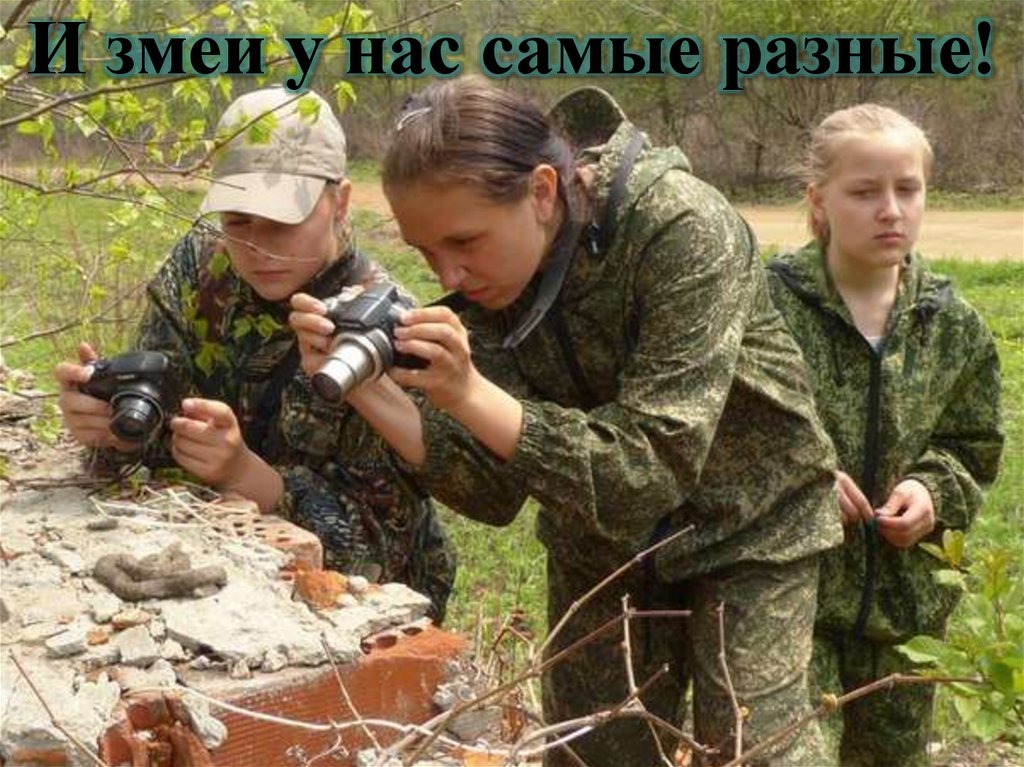 И змеи у нас самые разные!