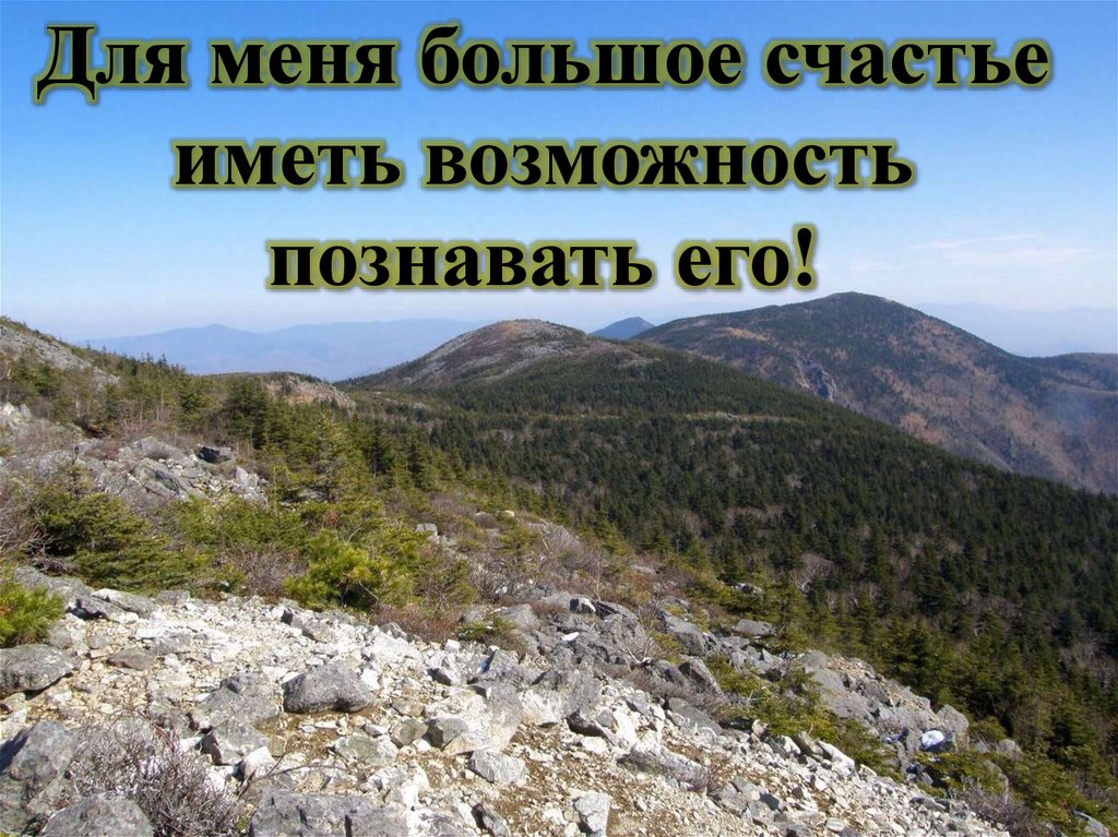 Моя походная жизнь. Моя походная жизнь