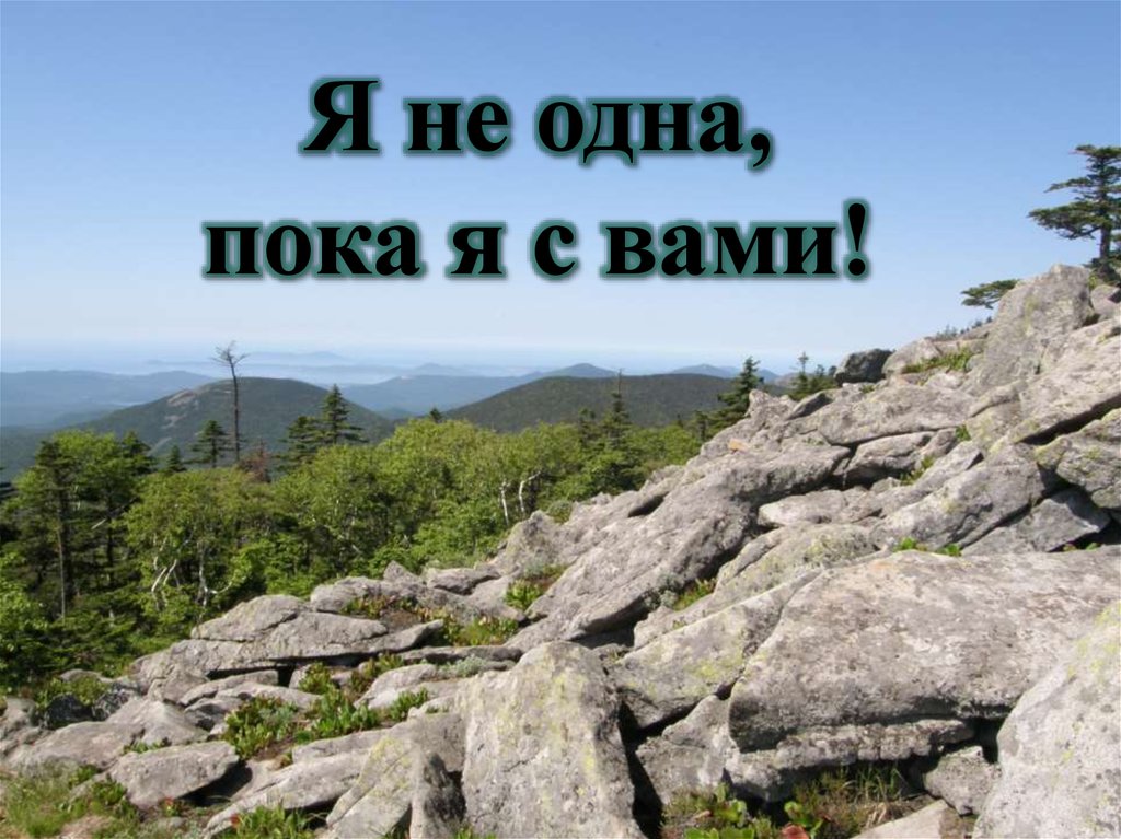 Моя походная жизнь. Моя походная жизнь