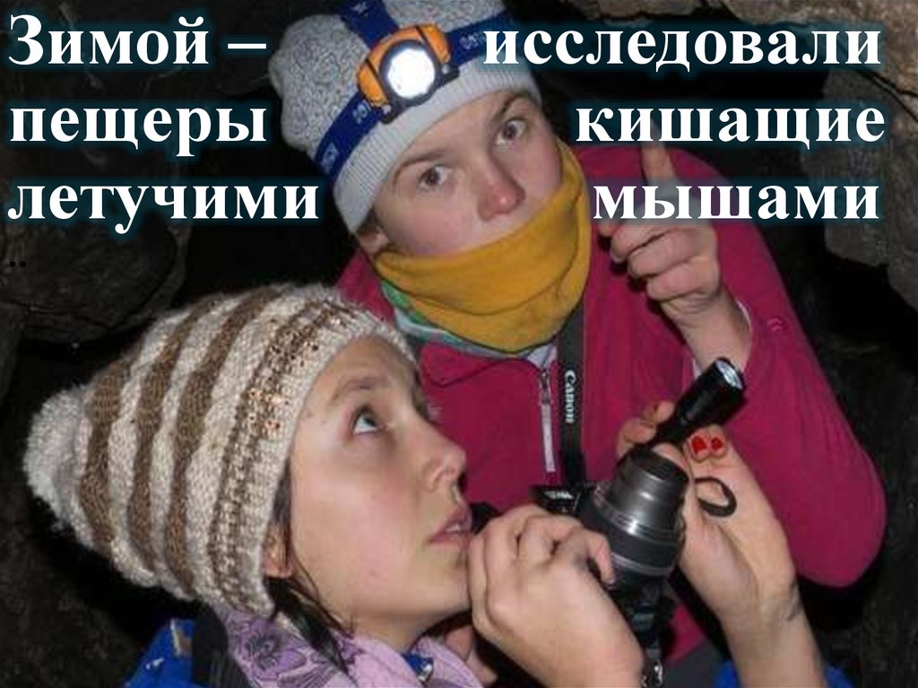 Моя походная жизнь. Моя походная жизнь