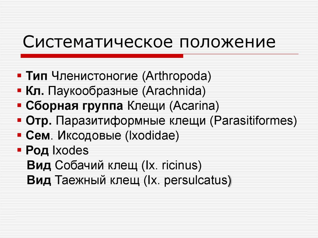 Систематического положения типа членистоногие