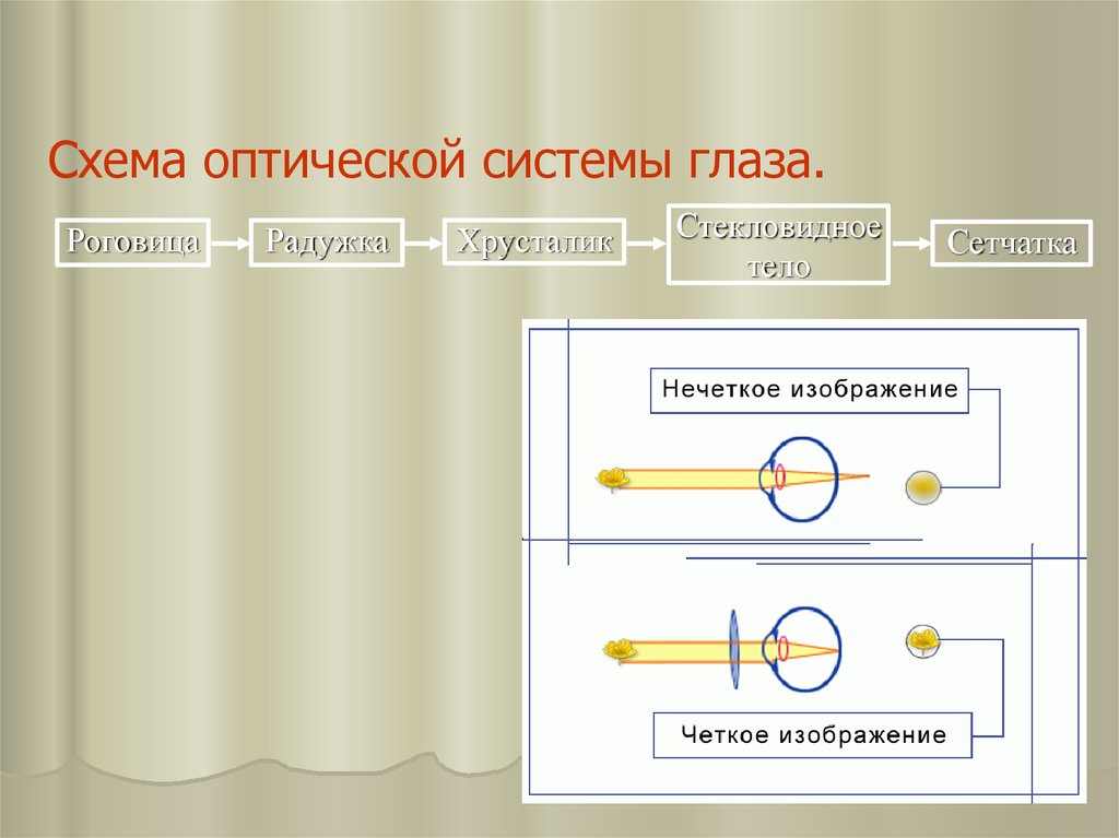 Гигиена сенсорных систем. Оптическая система схема. Блок схема оптической системы глаза. Схема оптической системы записи.