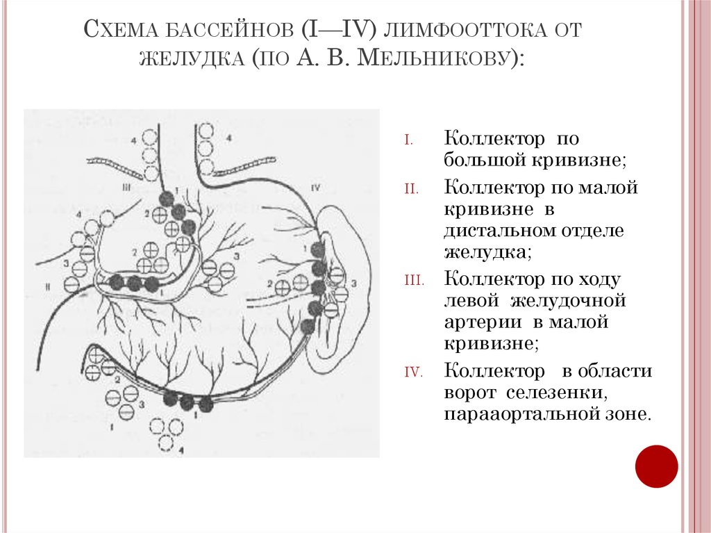 Лимфоотток желудка схема