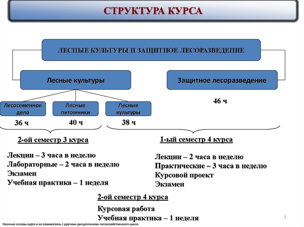 Реферат: Полезащитное лесоразведение