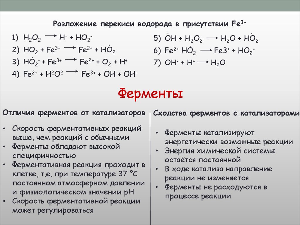 В ходе реакции. Ферменты расходуются в ходе реакции. В ходе реакции фермент:. Реакции с ферментами катализаторами. Энергетически возможные реакции это.