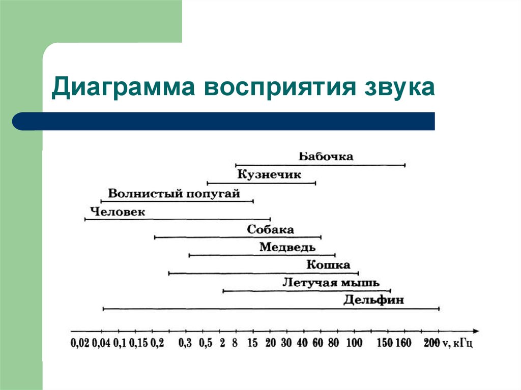 Диаграмма восприятия информации человеком