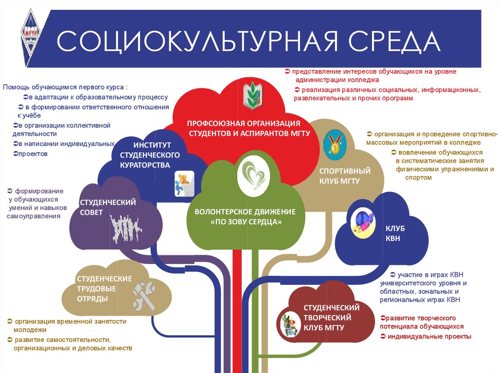 Социально культурные проекты примеры