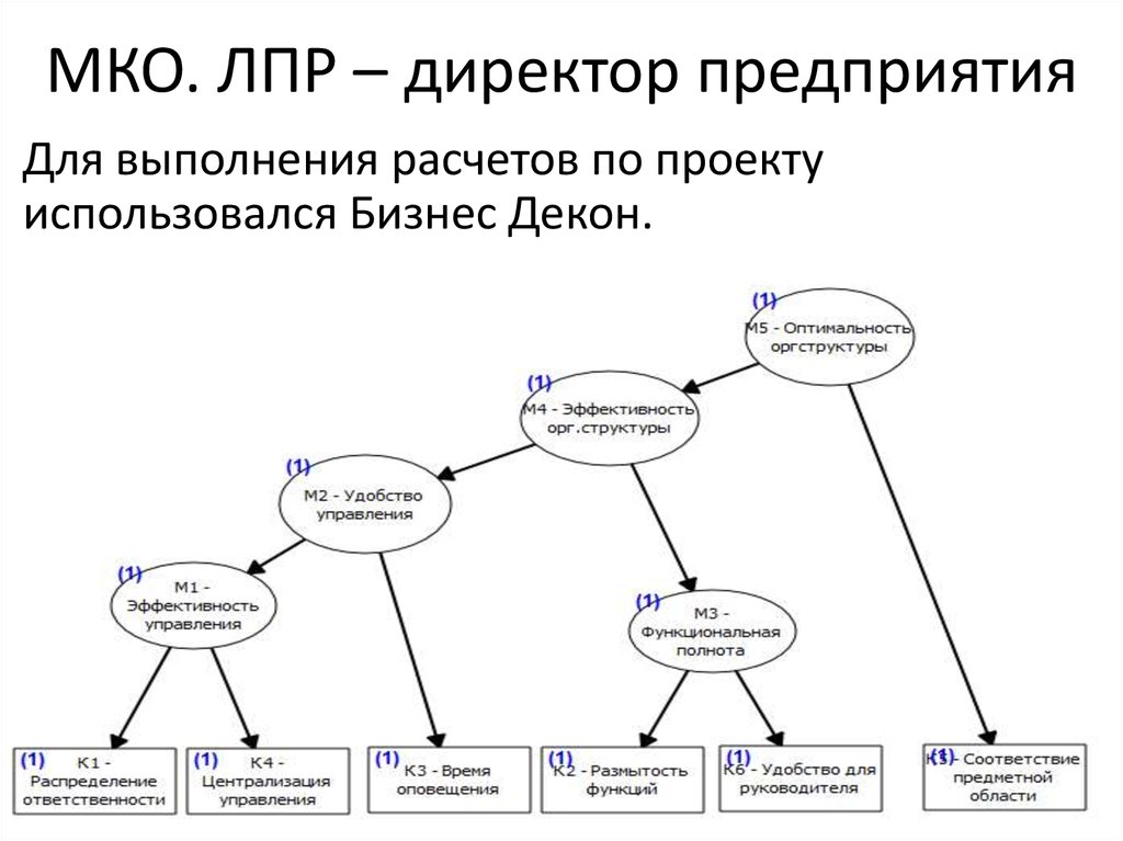 Лицо принимающее решение