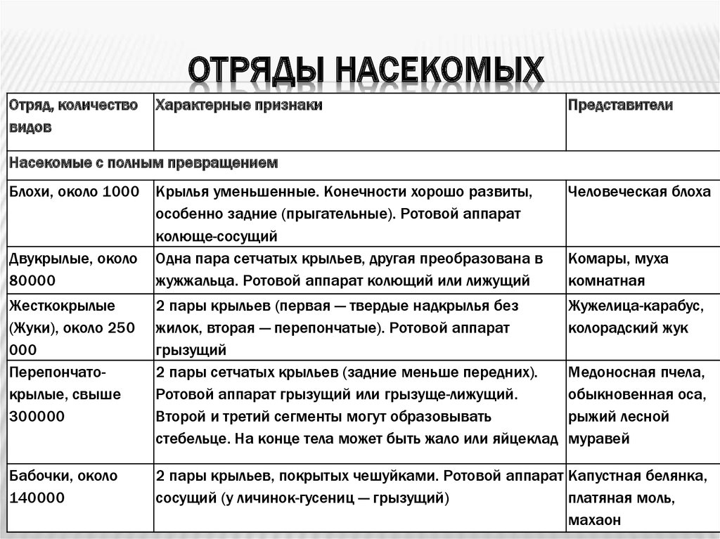 Особенности насекомых таблица. Сравнительная характеристика отрядов насекомых биология 7 класс. Таблица отряды насекомых 7 класс биология. Характеристика отрядов насекомых таблица 7 класс биология. Таблица отряды насекомых 7 класс биология отряд представители.