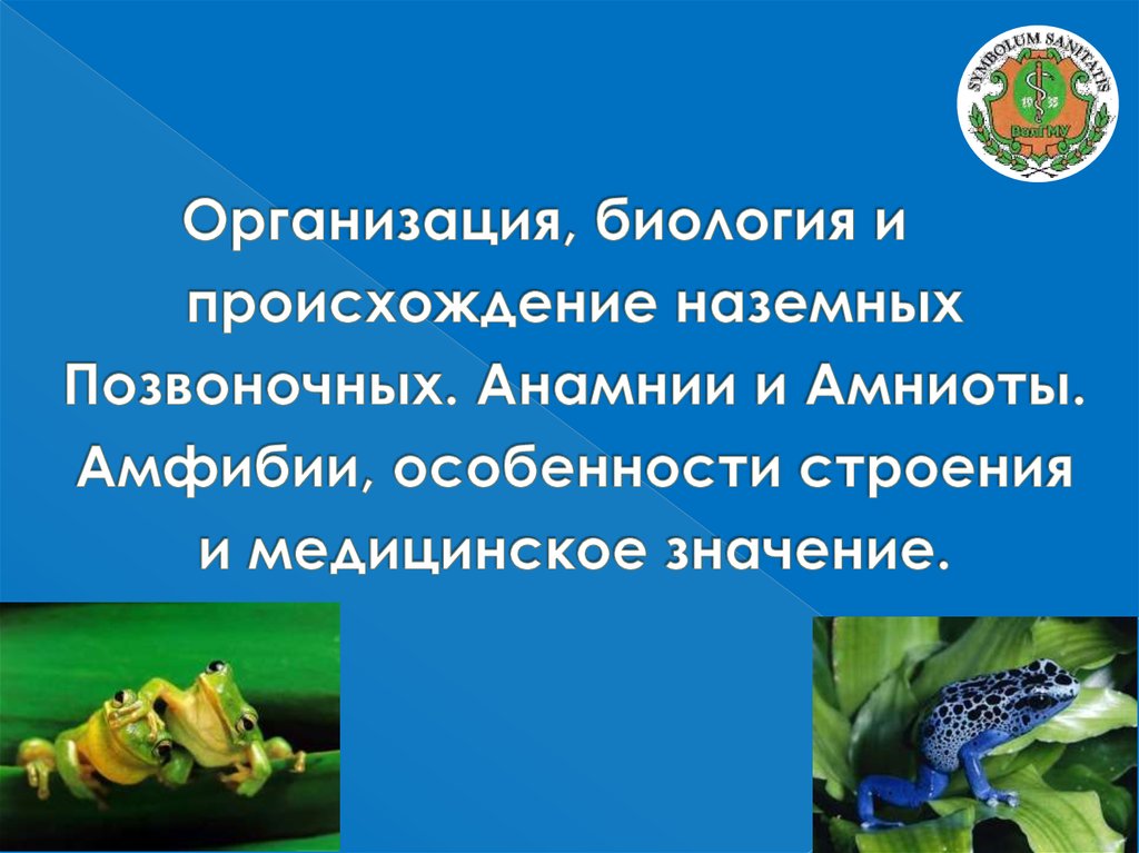 Черты наземных позвоночных