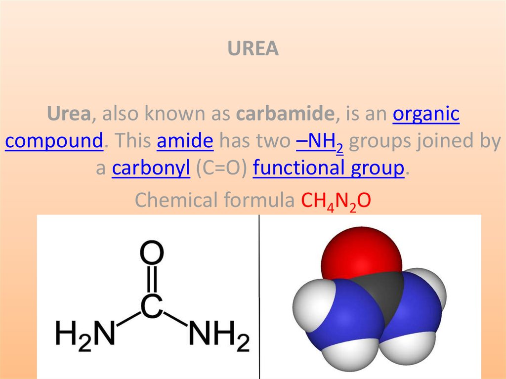 Urea (carbamide) - online presentation diagram for nitrogen cycle 