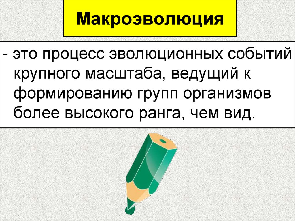 Макроэволюция это. Макроэволюция доказательства эволюции. Процессы эволюционных событий крупного масштаба. Систематические доказательства макроэволюции. Приведите доказательства наличия макроэволюции в природе..