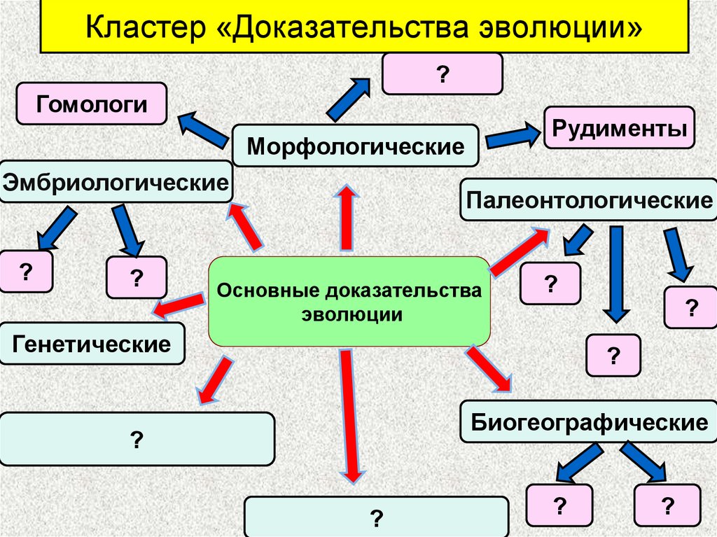 1 9 класс биология. Кластер доказательства эволюции. Основные доказательства эволюции кластер. Кластер Эволюция. Кластер по биологии на тему Эволюция.