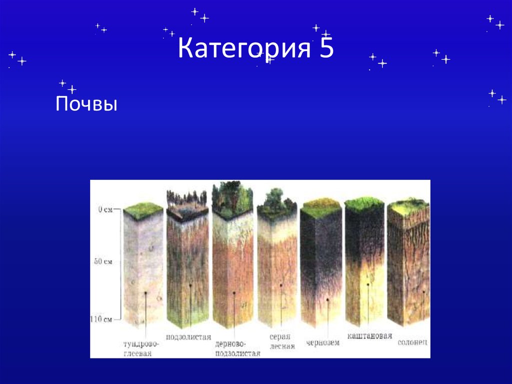 5 почвы. Грунт 5 категории. Категории почв. 5 Категория почвы. Почва 5,5.