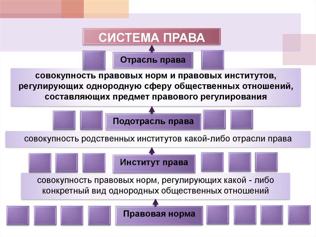 Институт родства