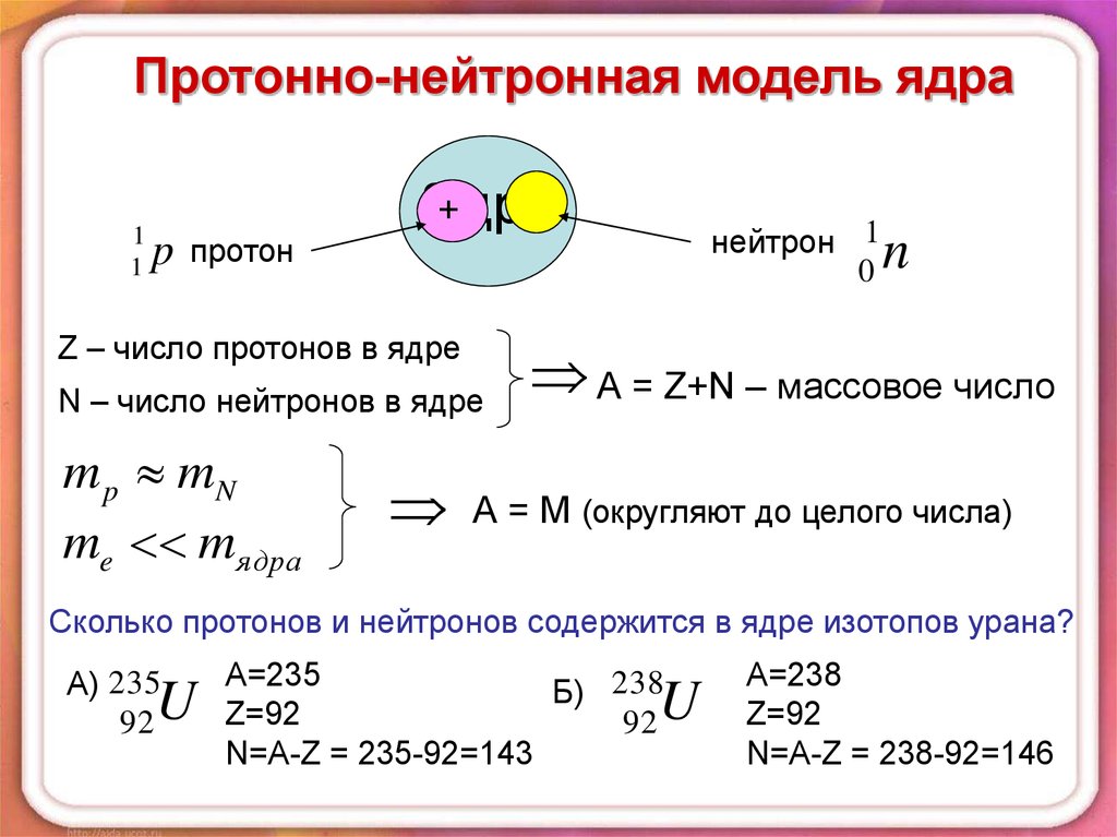 Ядро изотопа th. Атомное ядро как определить. Сколько ядер в нейроне. Сколько протонов и нейтронов. Число протонов нейтронов и электронов.