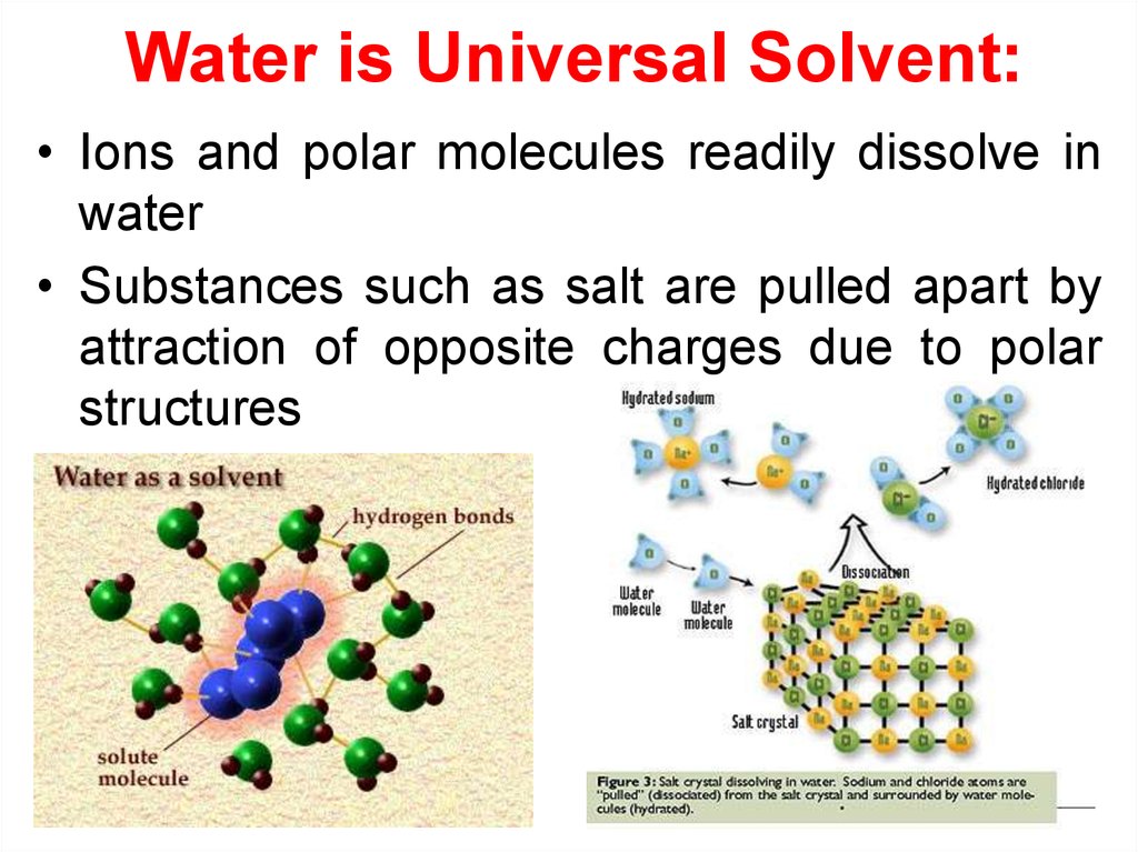 Water is Universal Solvent: