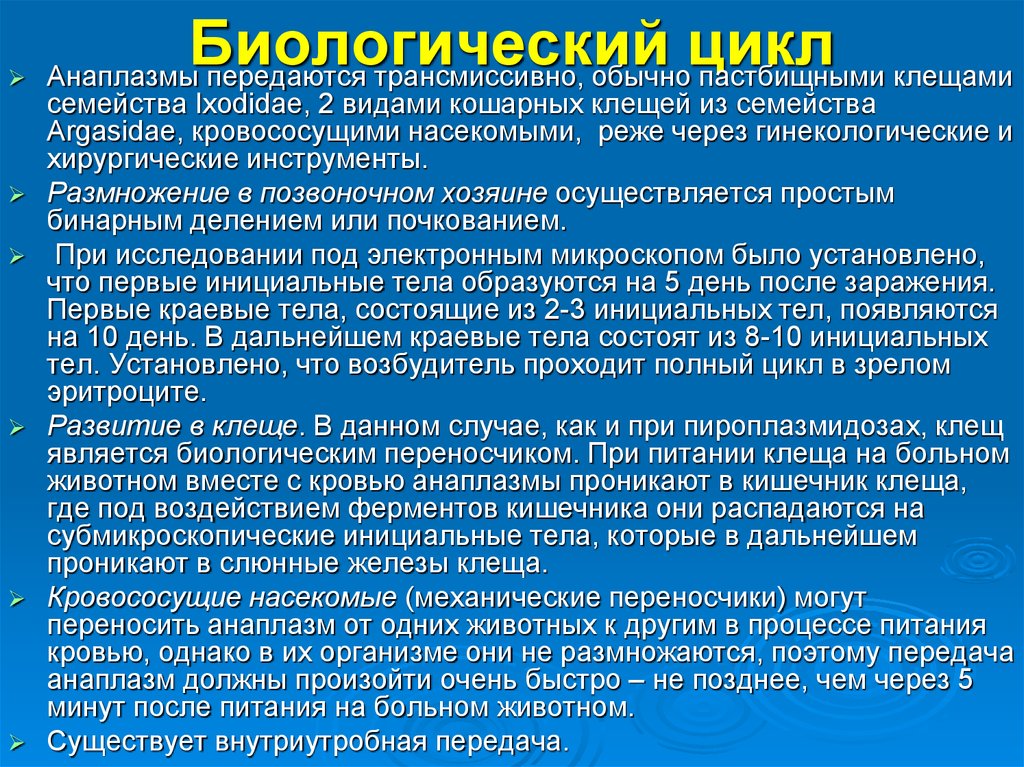 Биологический цикл. Биологические циклы. Основные типы биологических циклов. Биологические циклы животных. Анаплазмоз цикл развития.