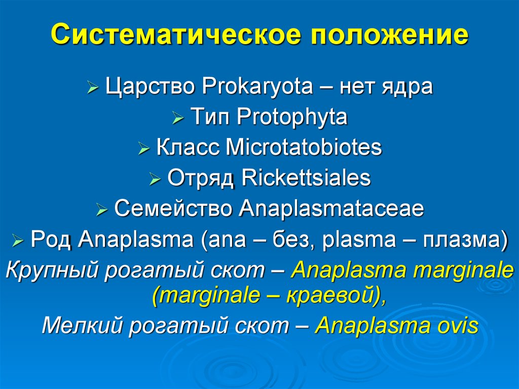 Систематическое положение. Систематическое положение царство. Систематическое положение рыб. Систематическое положение вида.