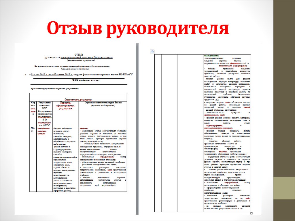 Отзыв руководителя