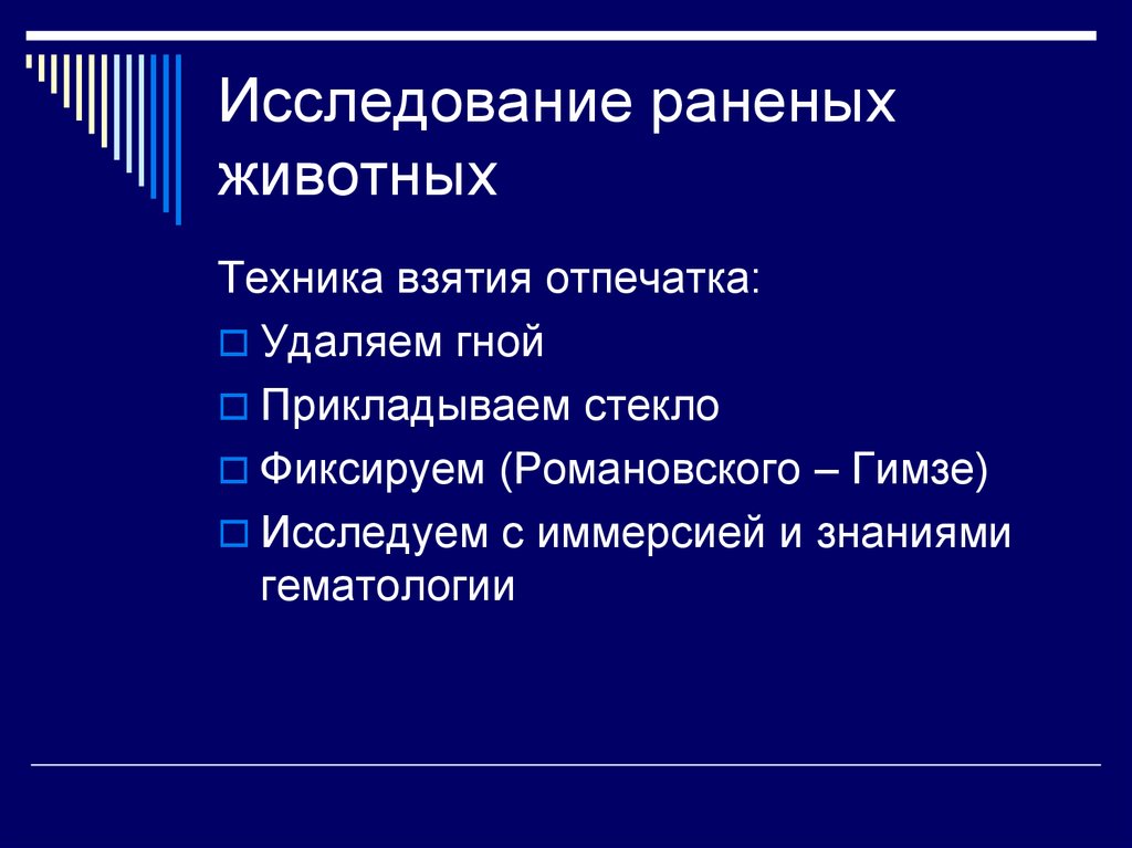 Исследования ран. Методика исследования раненого животного. Исследование раненых животных.