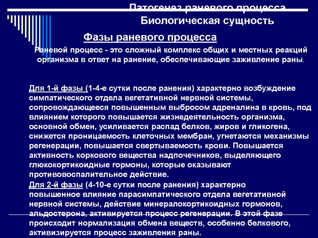 Биологическая сущность. Патогенез течения раневого процесса.. Что характерно для второй фазы раневого процесса?. Патогенез течения раневого процесса по фазам. Симптомы общей реакции организма при раневом процессе.