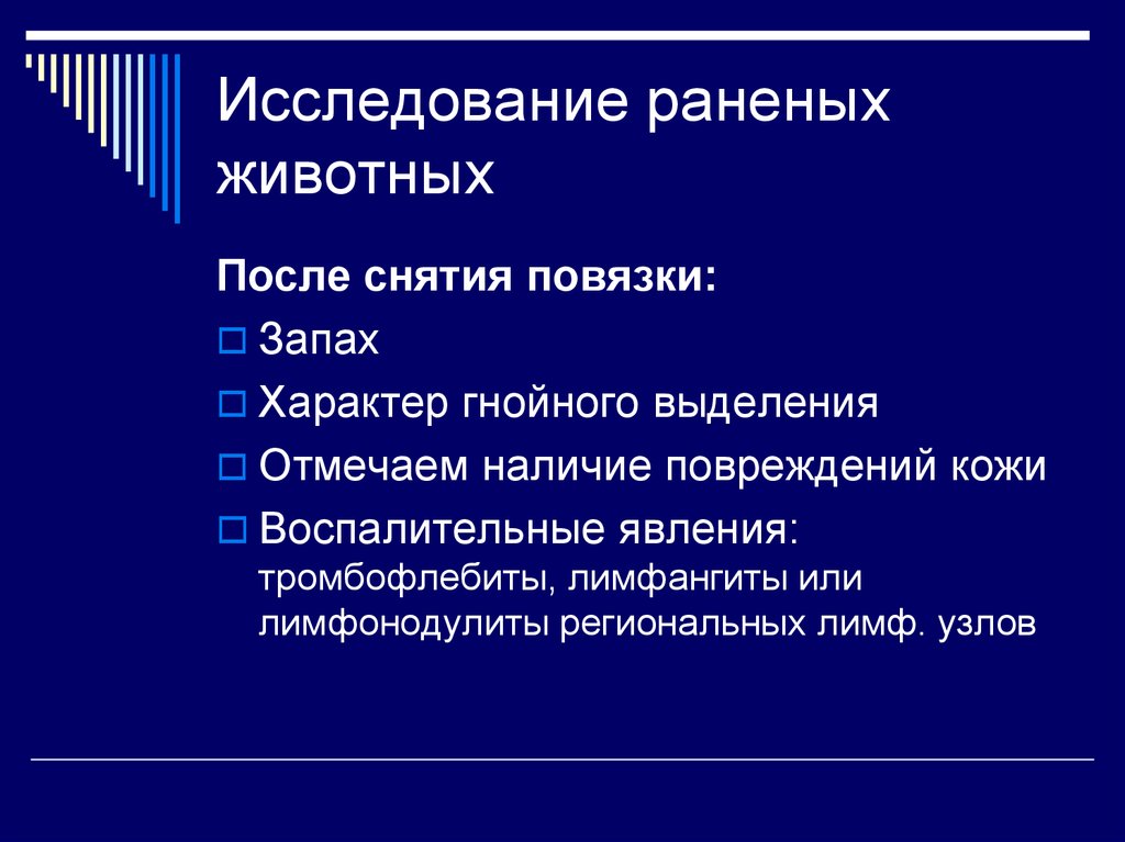 Исследование ран. Исследование раненого животного. План исследования раненого животного. Исследование общего состояния раненого животного..