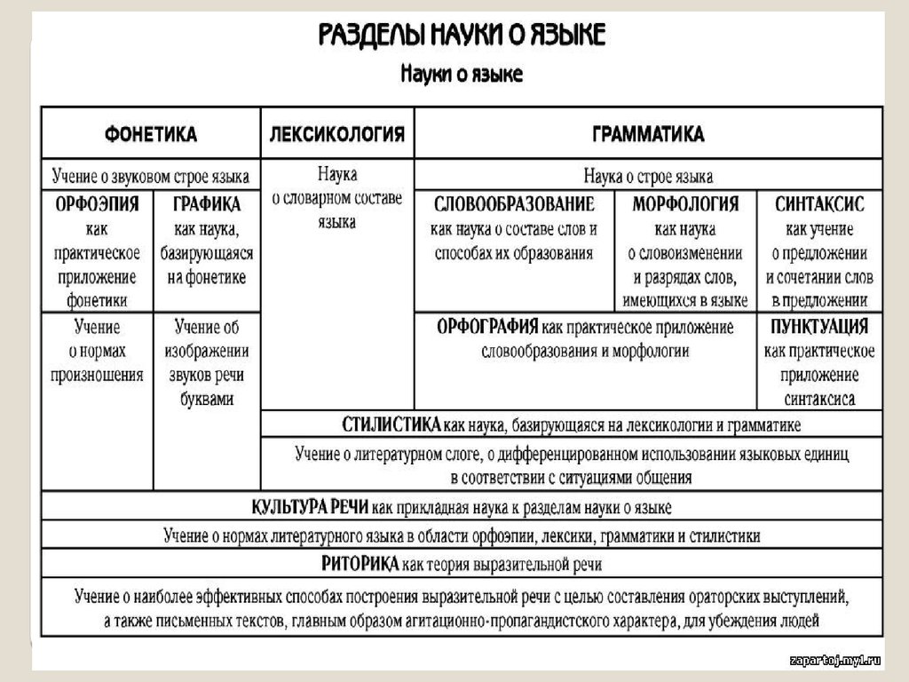 Сложный план на тему разделы науки о языке