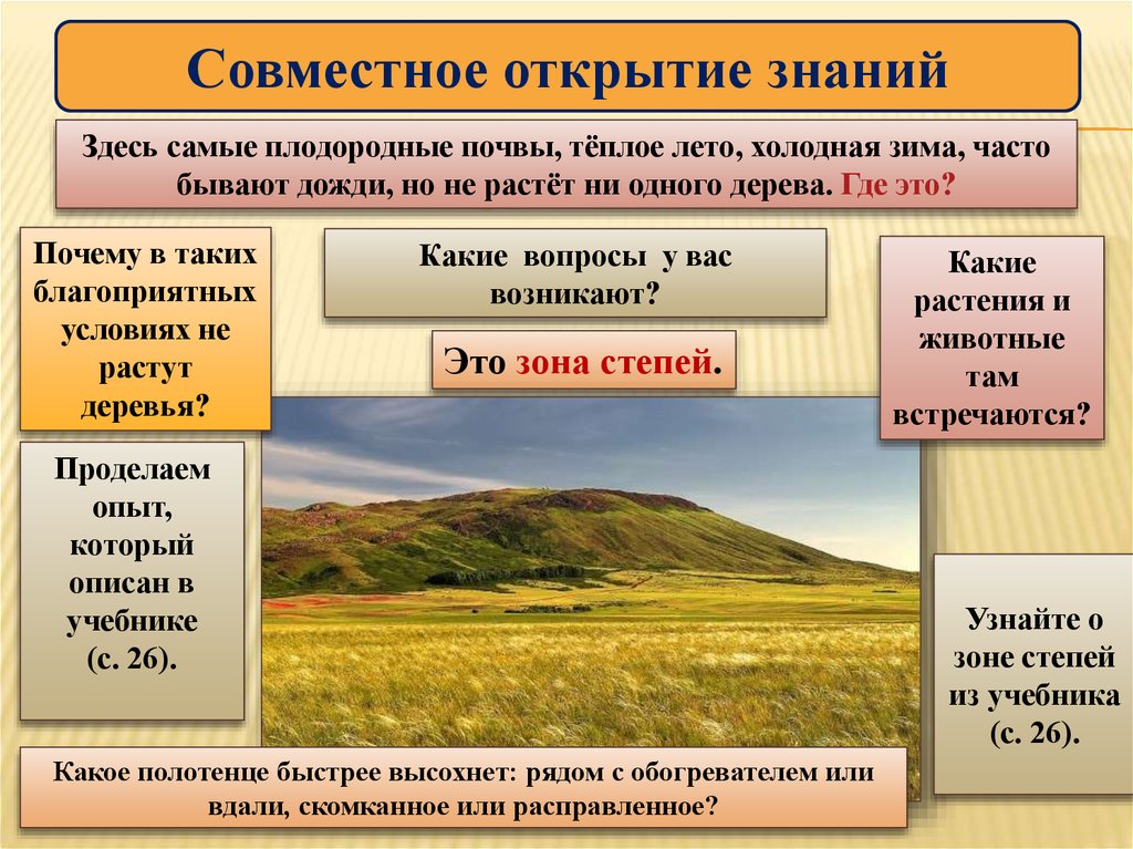 Зима здесь мягкая. Где самые плодородные почвы зона. Почва в умеренном поясе. Постоянно теплый почвенный климат. Где самые плодородные почвы природная зона.