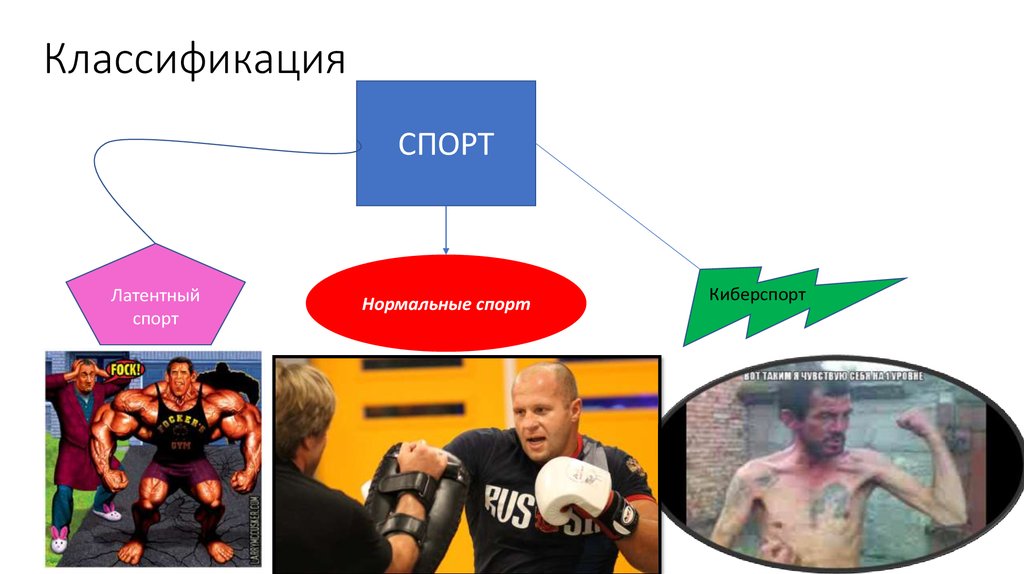 Классификация