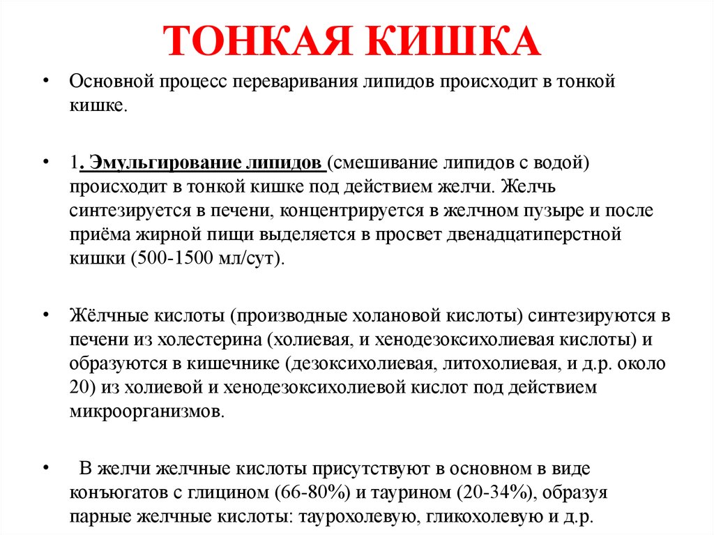 Выберите процессы происходящие в тонкой кишке. Процессы в тонком кишечнике. Процессы в тонком кишечнике человека. Процессы происходящие в тонком кишечнике.