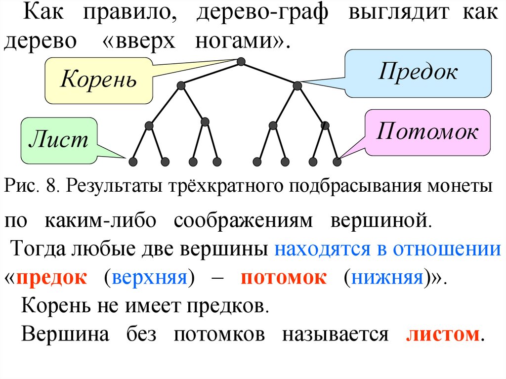 Отношение предок