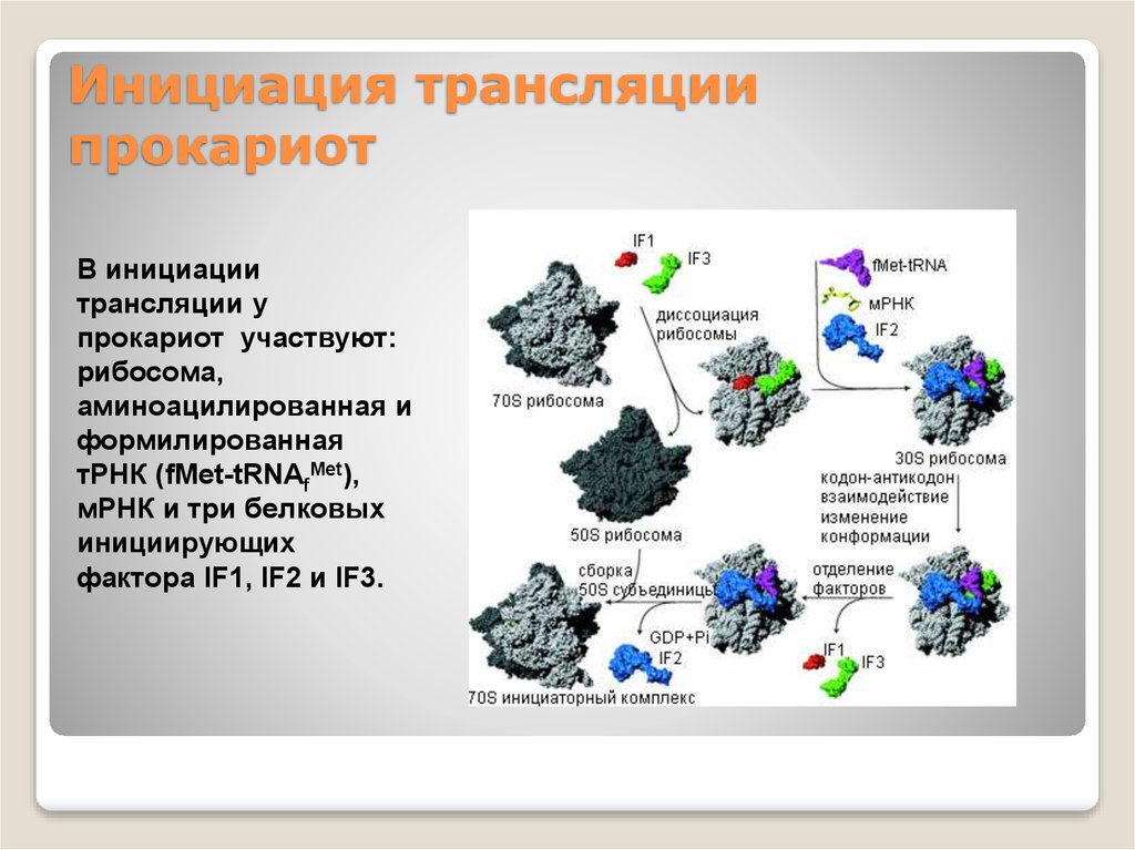 Комплекс инициации