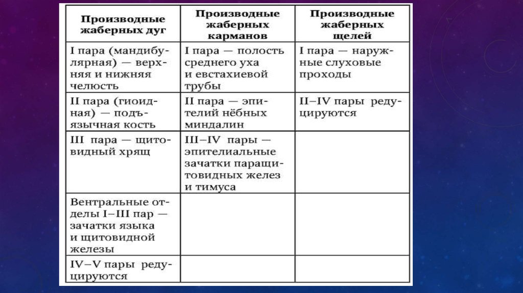 Развитие органов полости рта и их возможные аномалии - online presentation