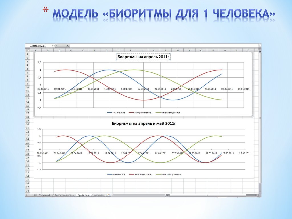 Биоритмы человека презентация