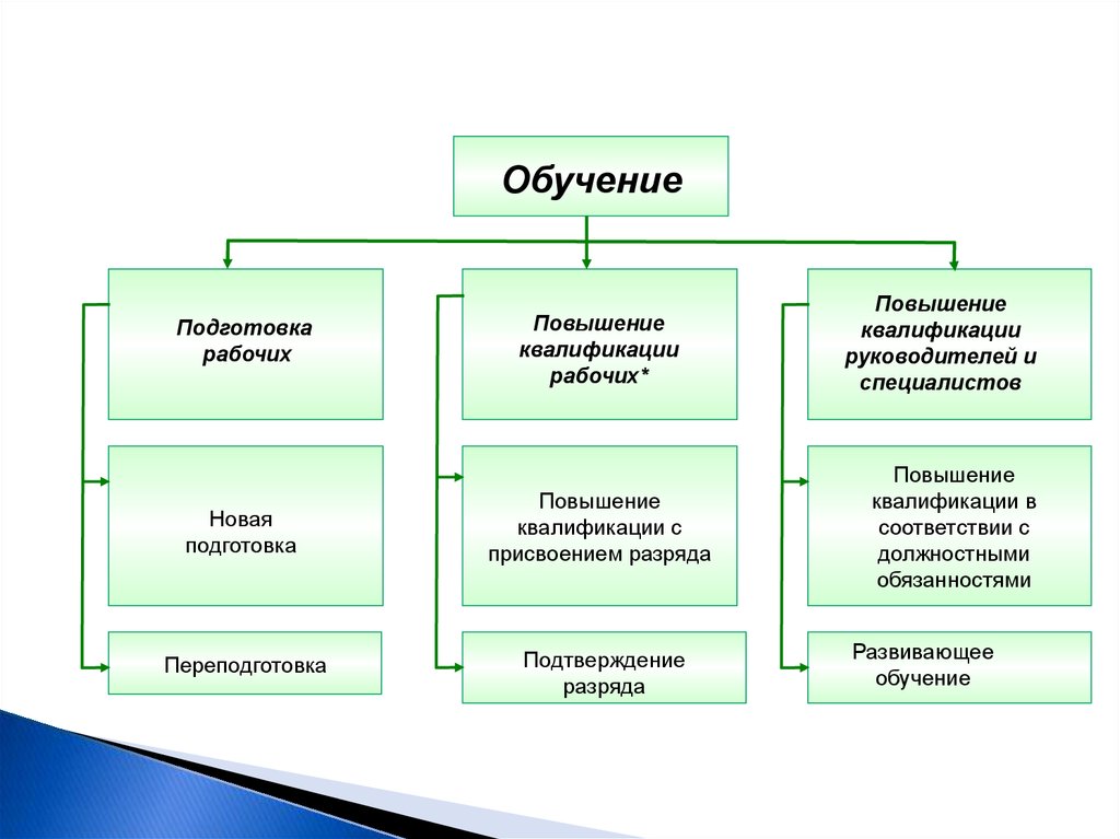 Виды повышения. Организация работы по повышению квалификации рабочих. Виды квалификации образования. Формы подготовки, переподготовки и повышения квалификации. Виды обучения для повышения квалификации рабочих.