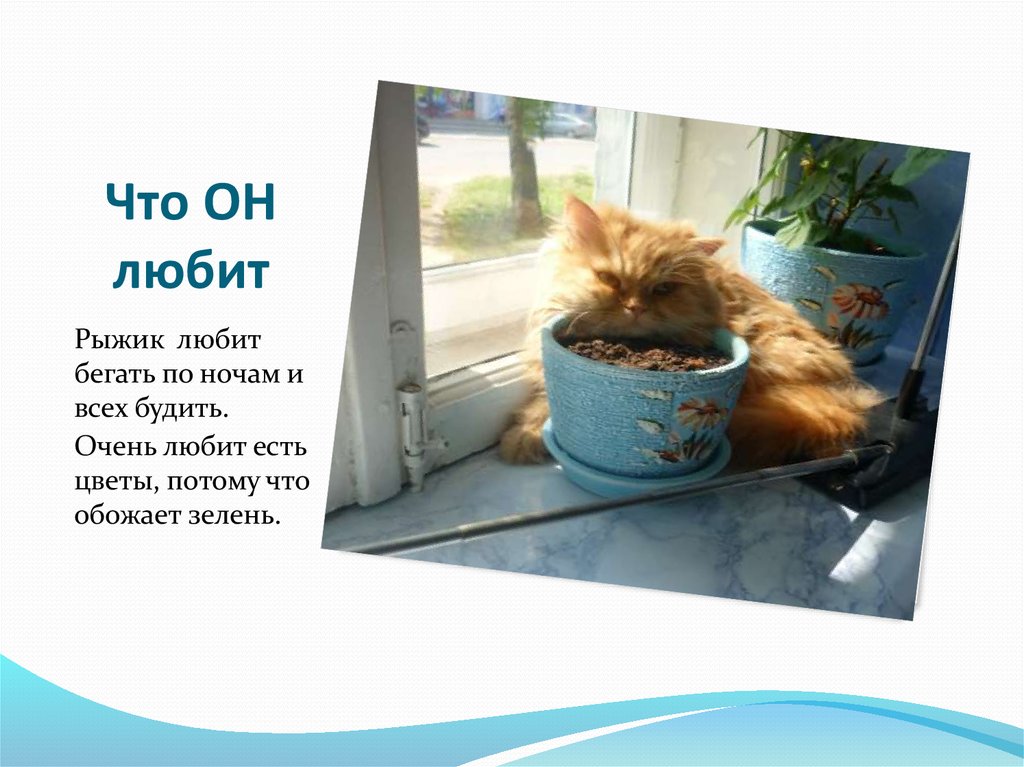 Что ОН любит