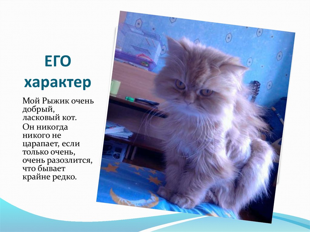 ЕГО характер