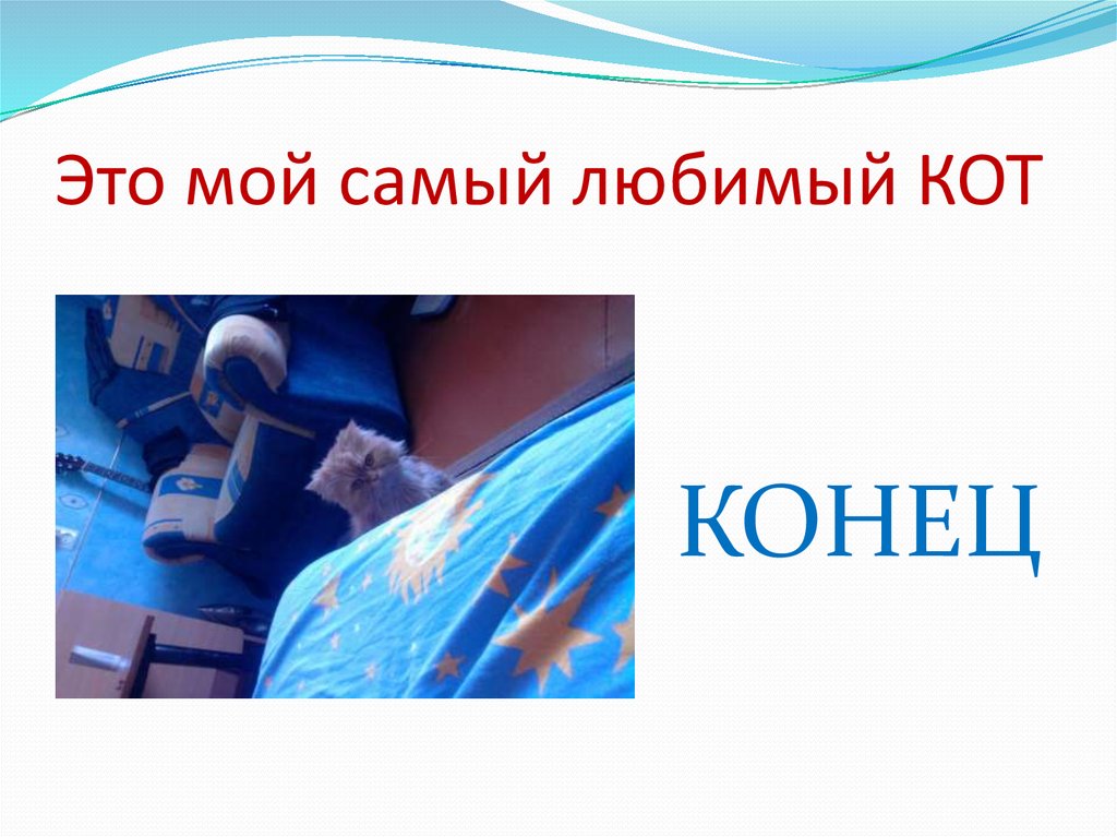 Это мой самый любимый КОТ