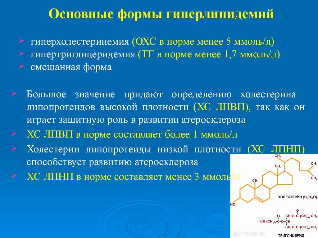 Гиперлипидемия атеросклероз