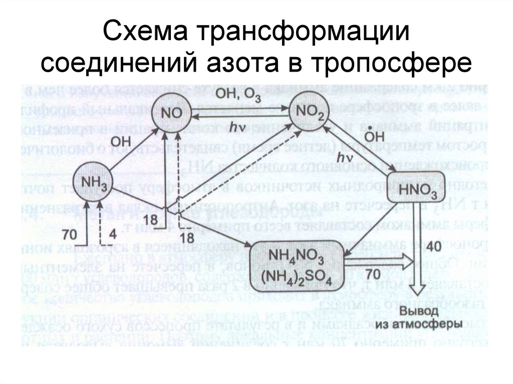 Схема образования азота и азота