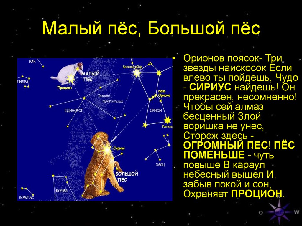 Созвездие пса. Рассказ о созвездии малый пес. Большой и малый пес созвездия. Созвездие малый пес Легенда. Созвездие малый пёс доклад.