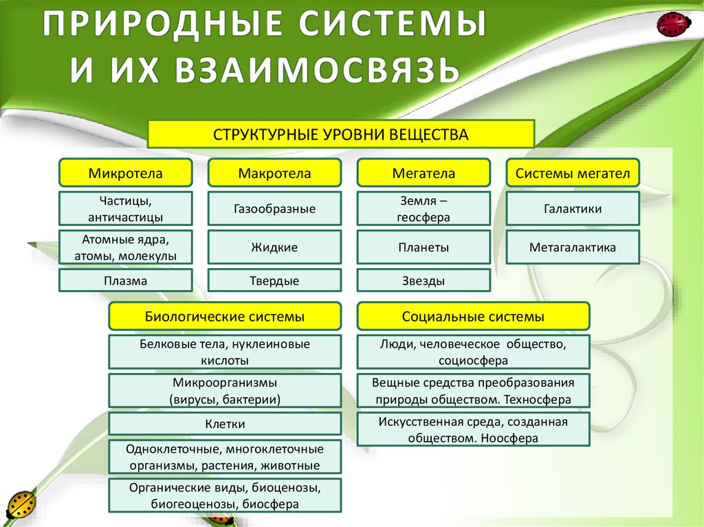 Социальная естественная система