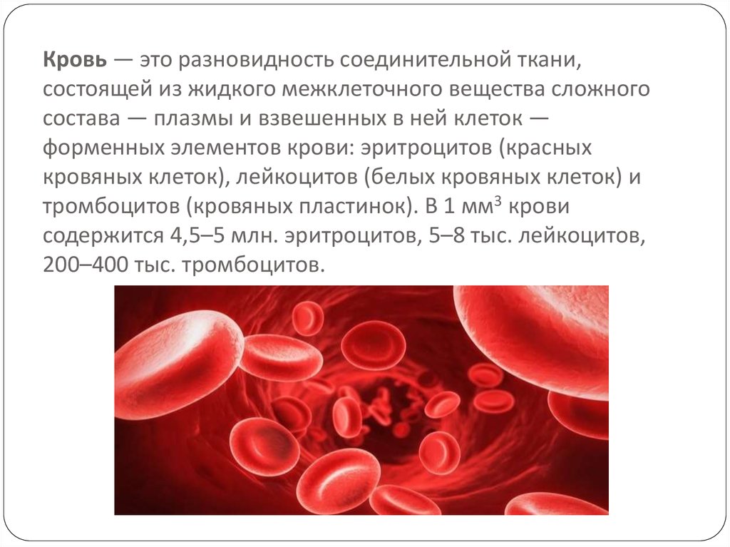 Растворение крови. Кровь жидкая соединительная ткань. Соединительная ткань кровь человека. Кровь жидкая соединительная ткань функции. Кровь соединительная ткань строение.
