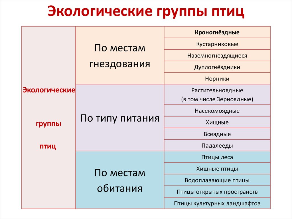 Заполните схему класс птицы систематическая группа признаки представители